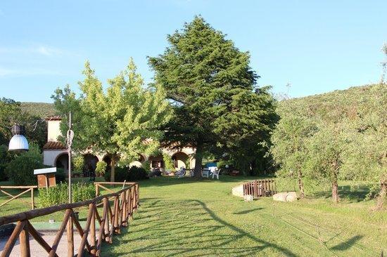 Agriturismo San Valentino Амелиа Экстерьер фото